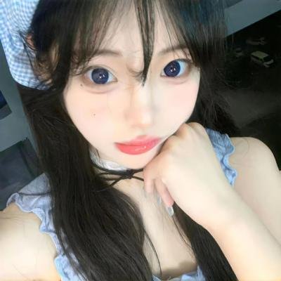 新东京猫猫