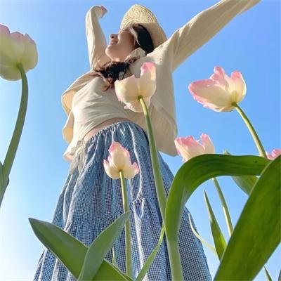 主播拯救世界